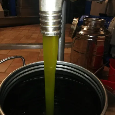 Tavoleto Gemma Verde Διαμέρισμα