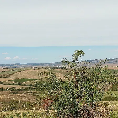 Tavoleto Gemma Verde * Campiglia dʼOrcia