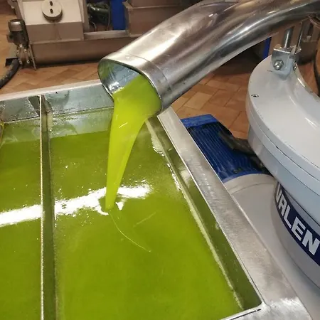 Tavoleto Gemma Verde Διαμέρισμα