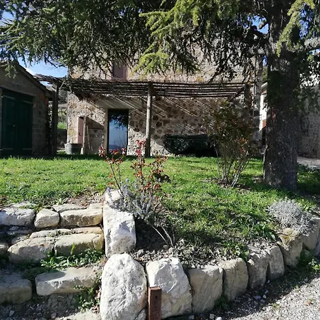 Tavoleto Gemma Verde Campiglia dʼOrcia