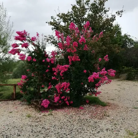 Tavoleto Gemma Verde * Campiglia dʼOrcia